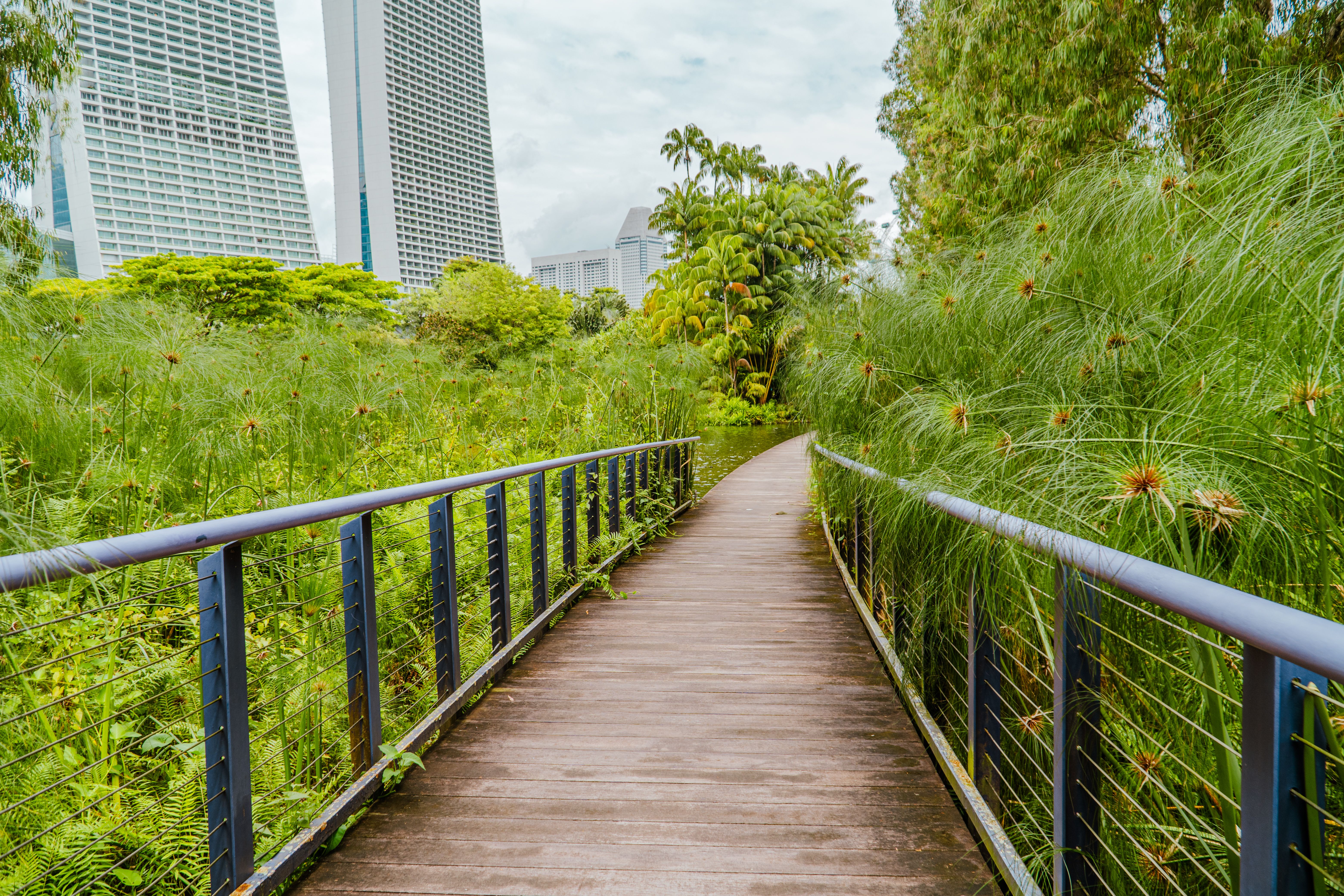 Walks and Nature Around Melbourne: River, Bay, Gardens and the Ranges